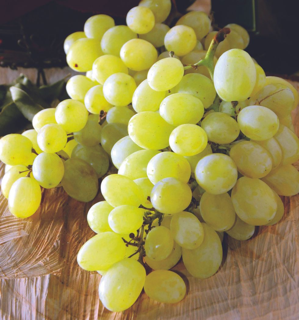 Pizzutello grapes