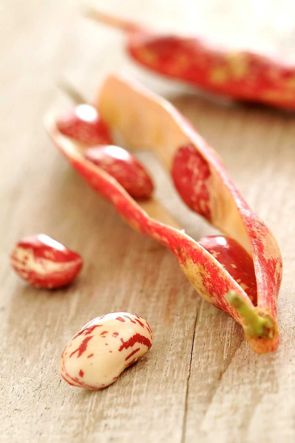 Cranberry beans
