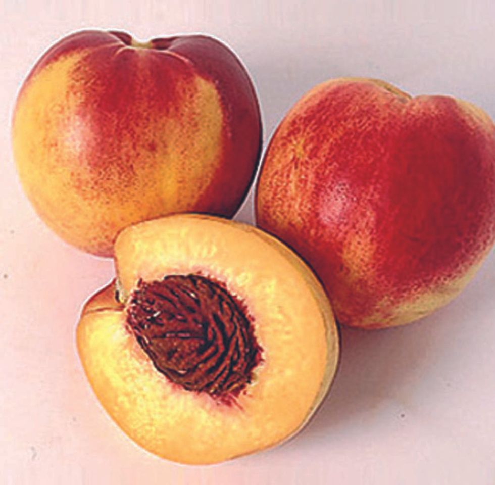 Nectarine peach