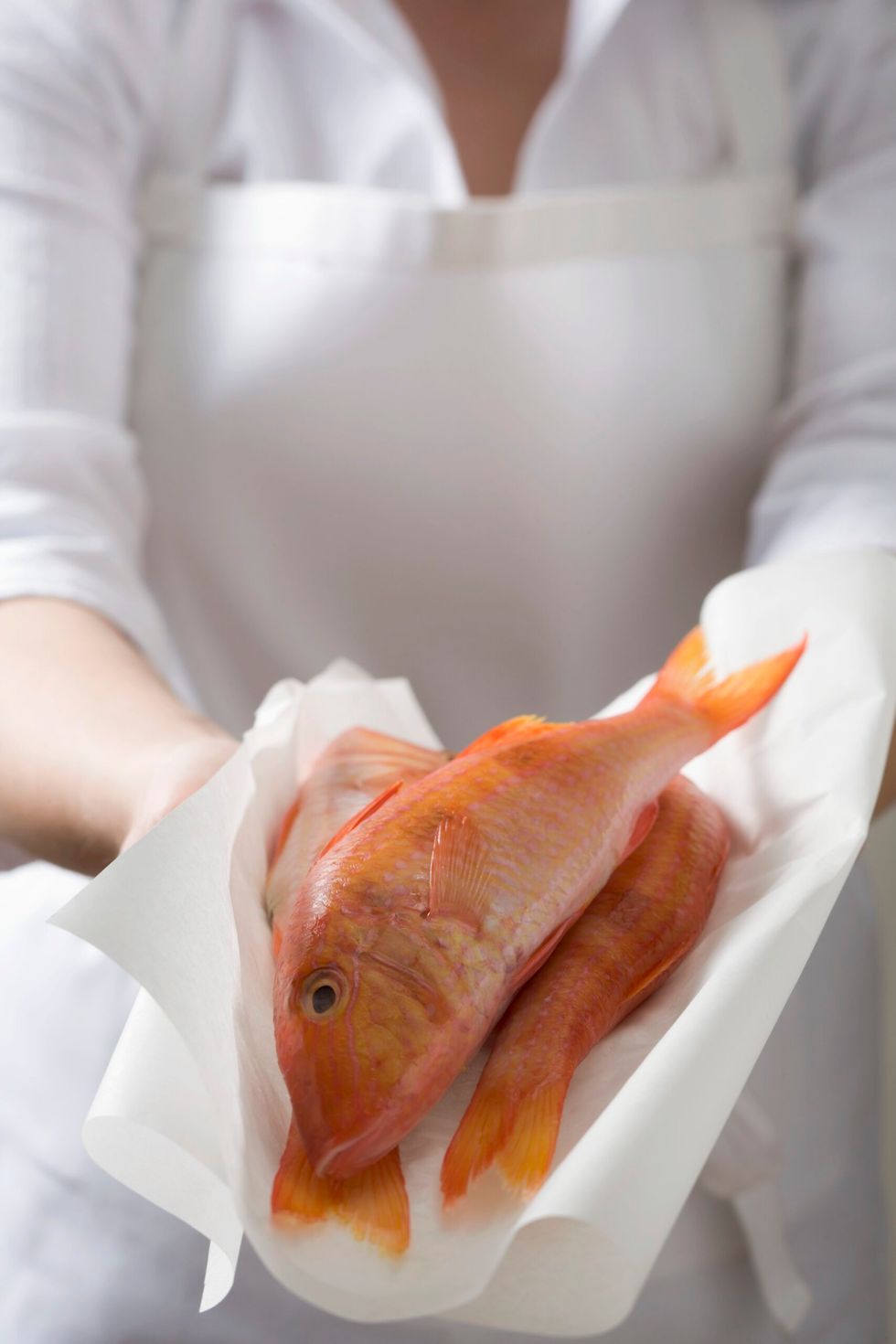 Red mullet