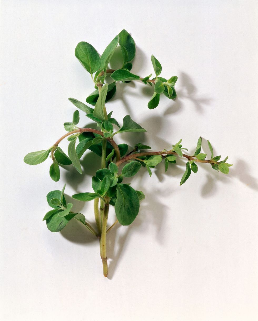 Valerianella