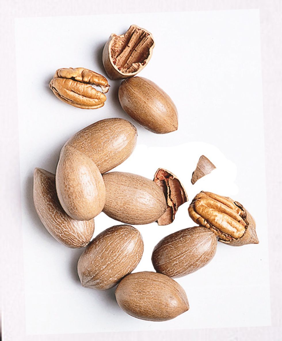 Pecan nut