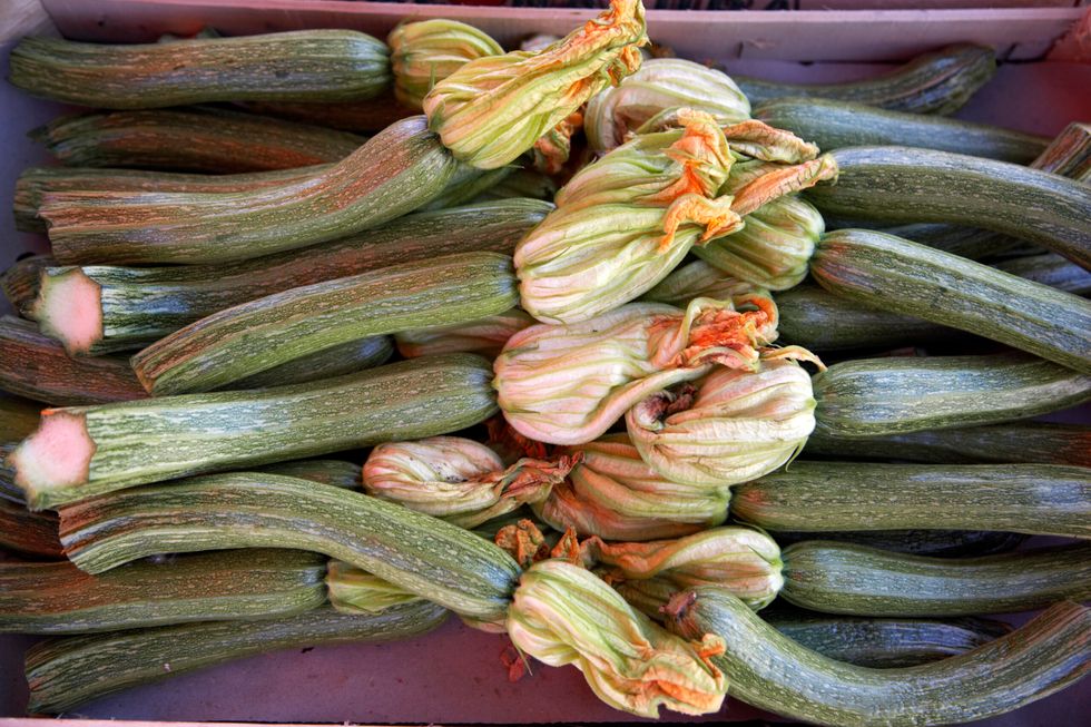 Zucchini flowers