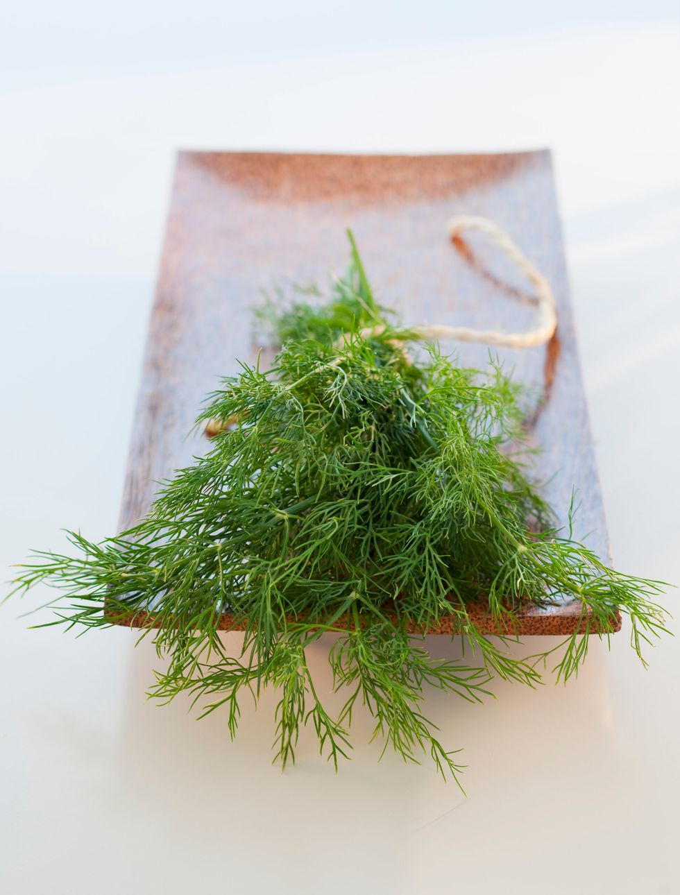 Dill