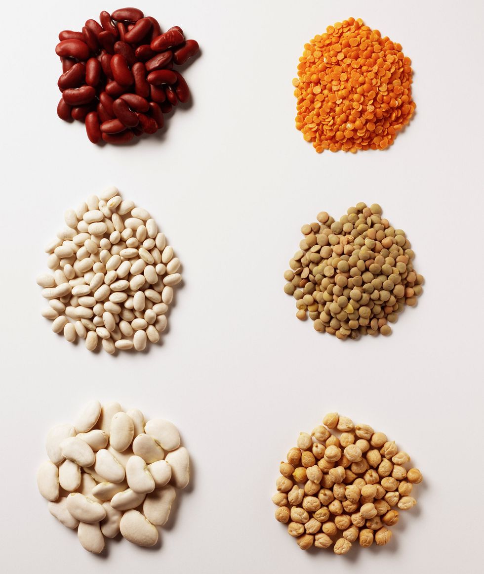 Legume