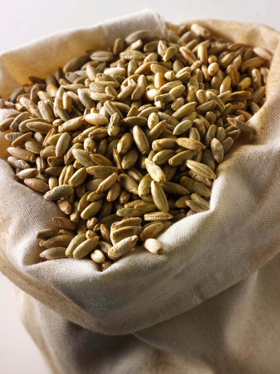 Rye