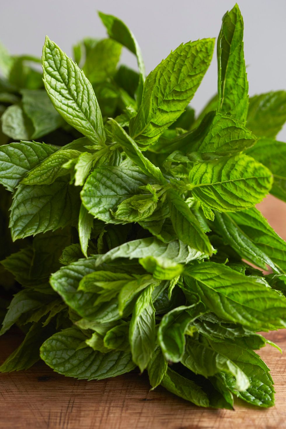 Lemon balm