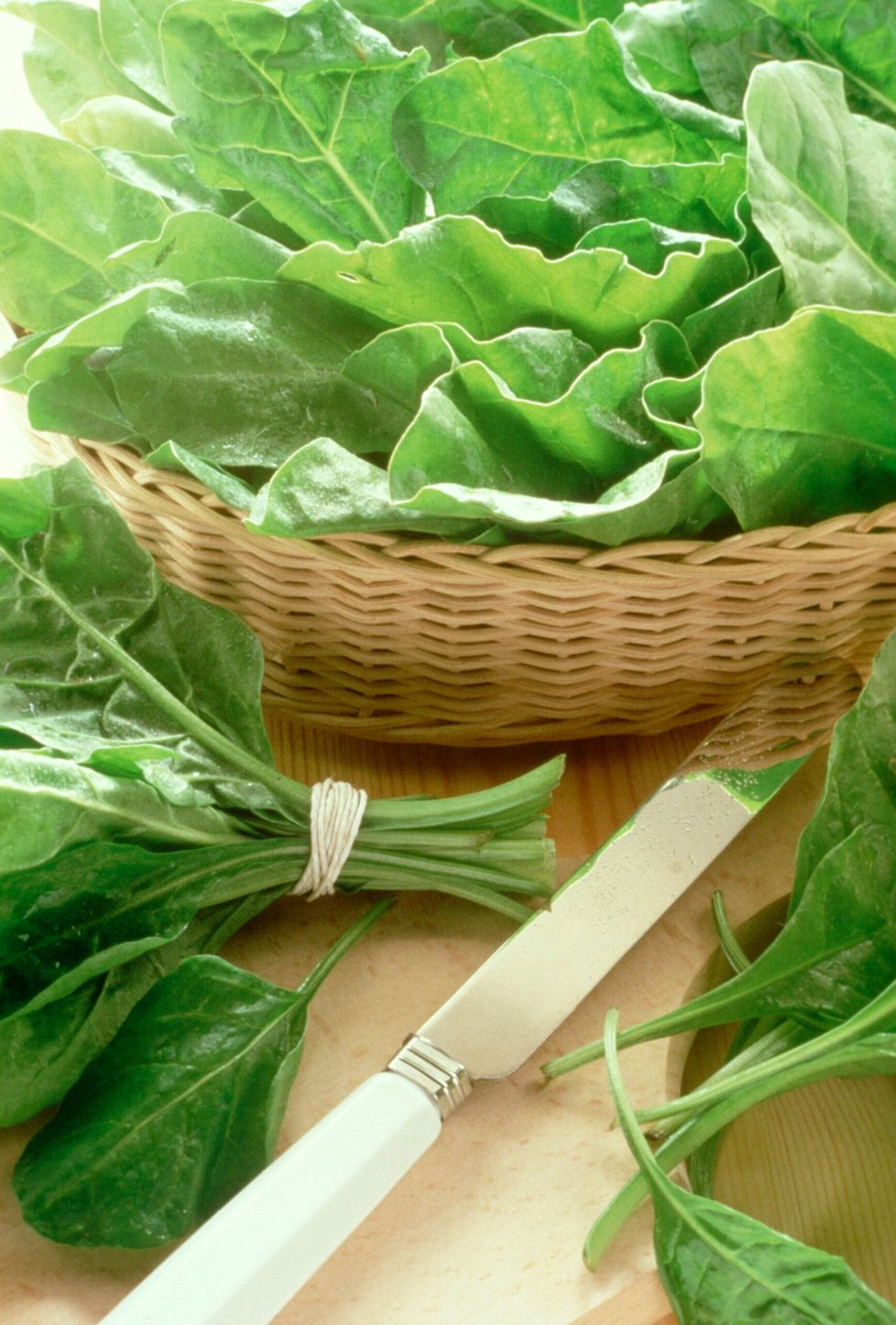 Chard