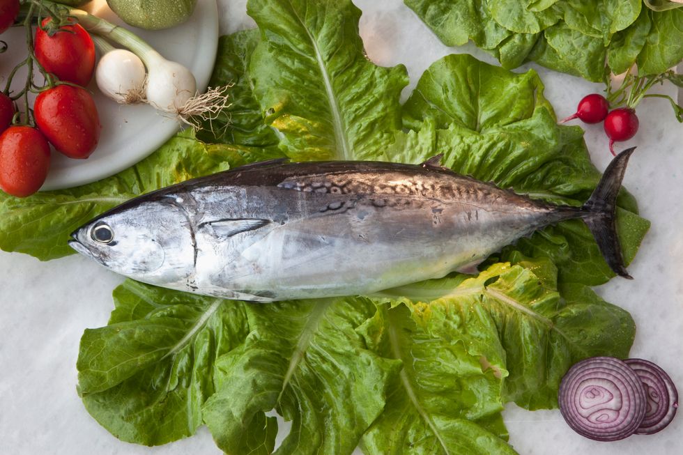 Tuna fish
