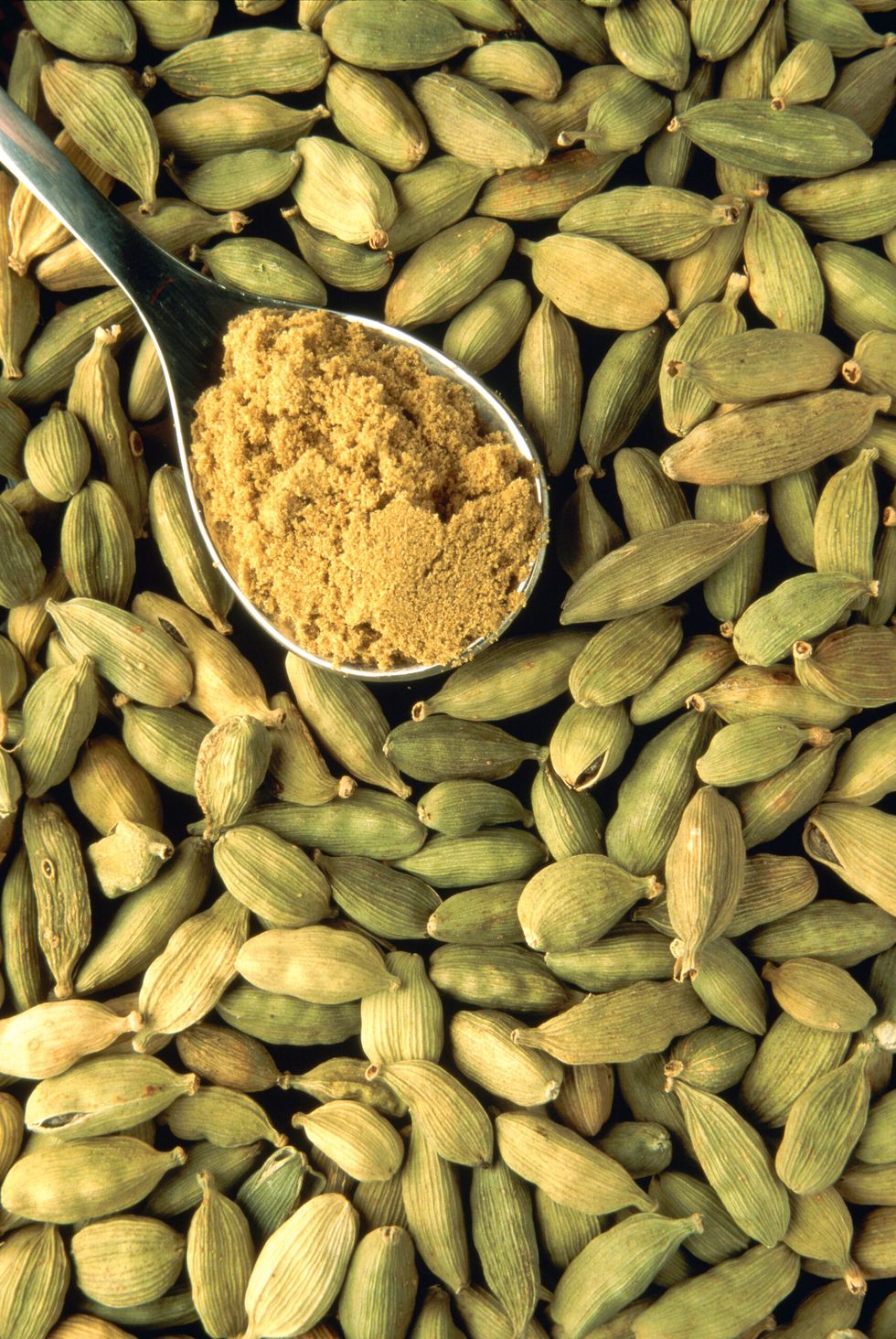 Cardamom