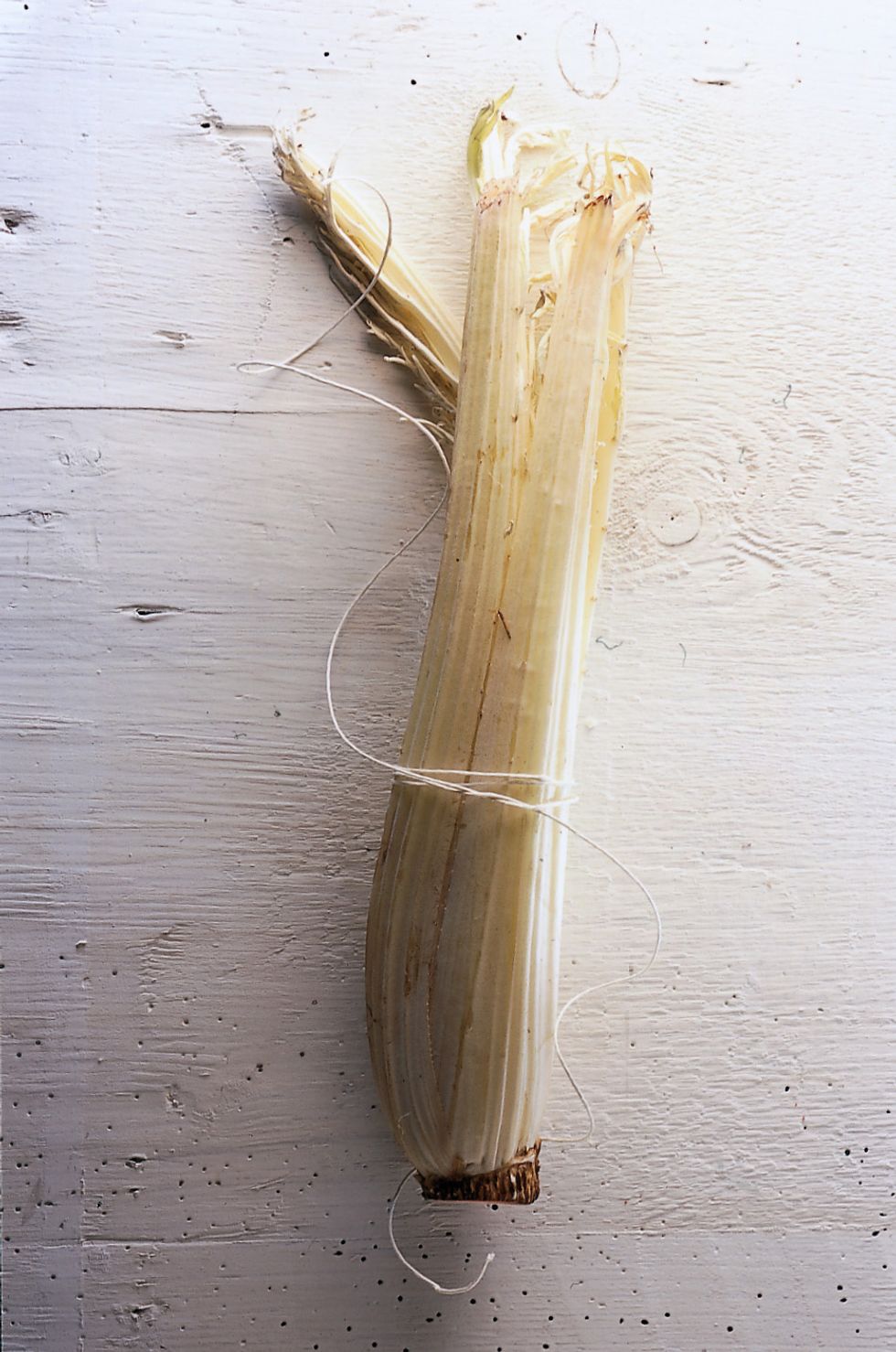 Cardoon