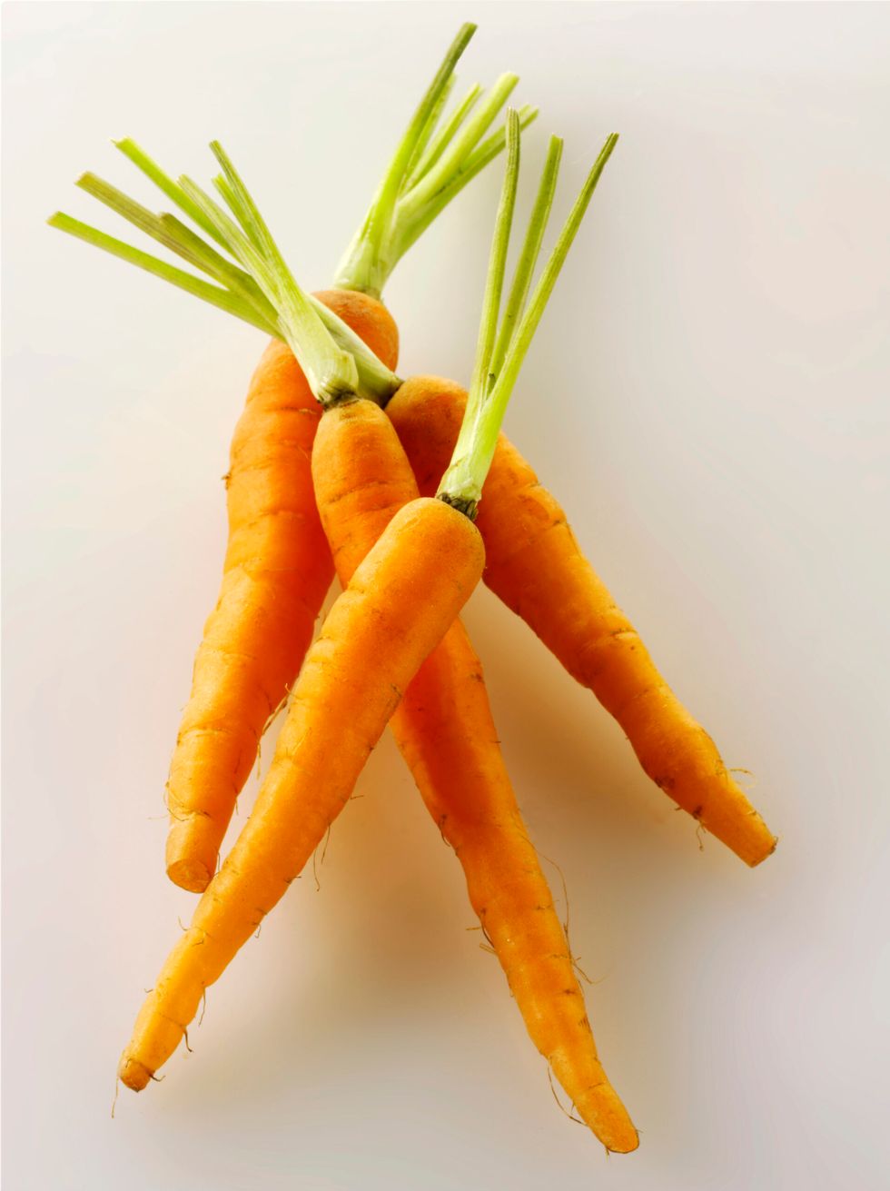 Carrot