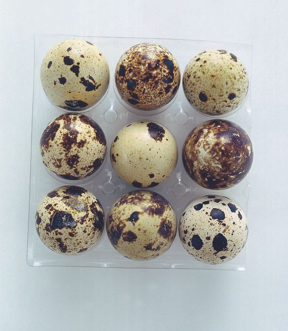 Quail eggs