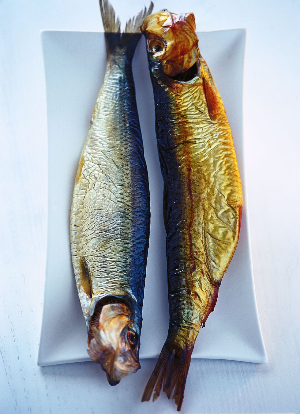 Herring