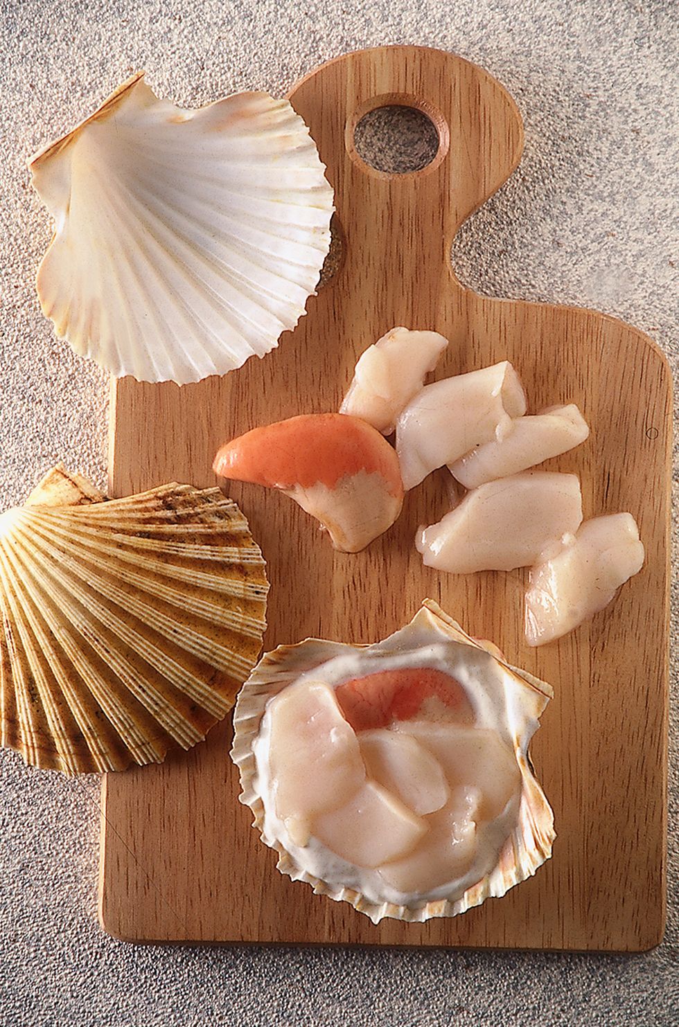 Scallop