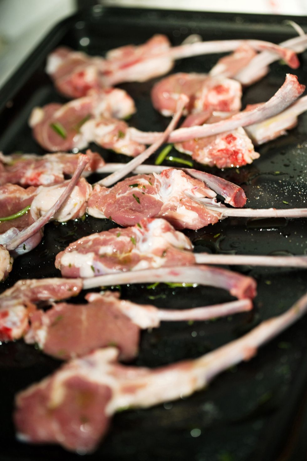 Lamb
