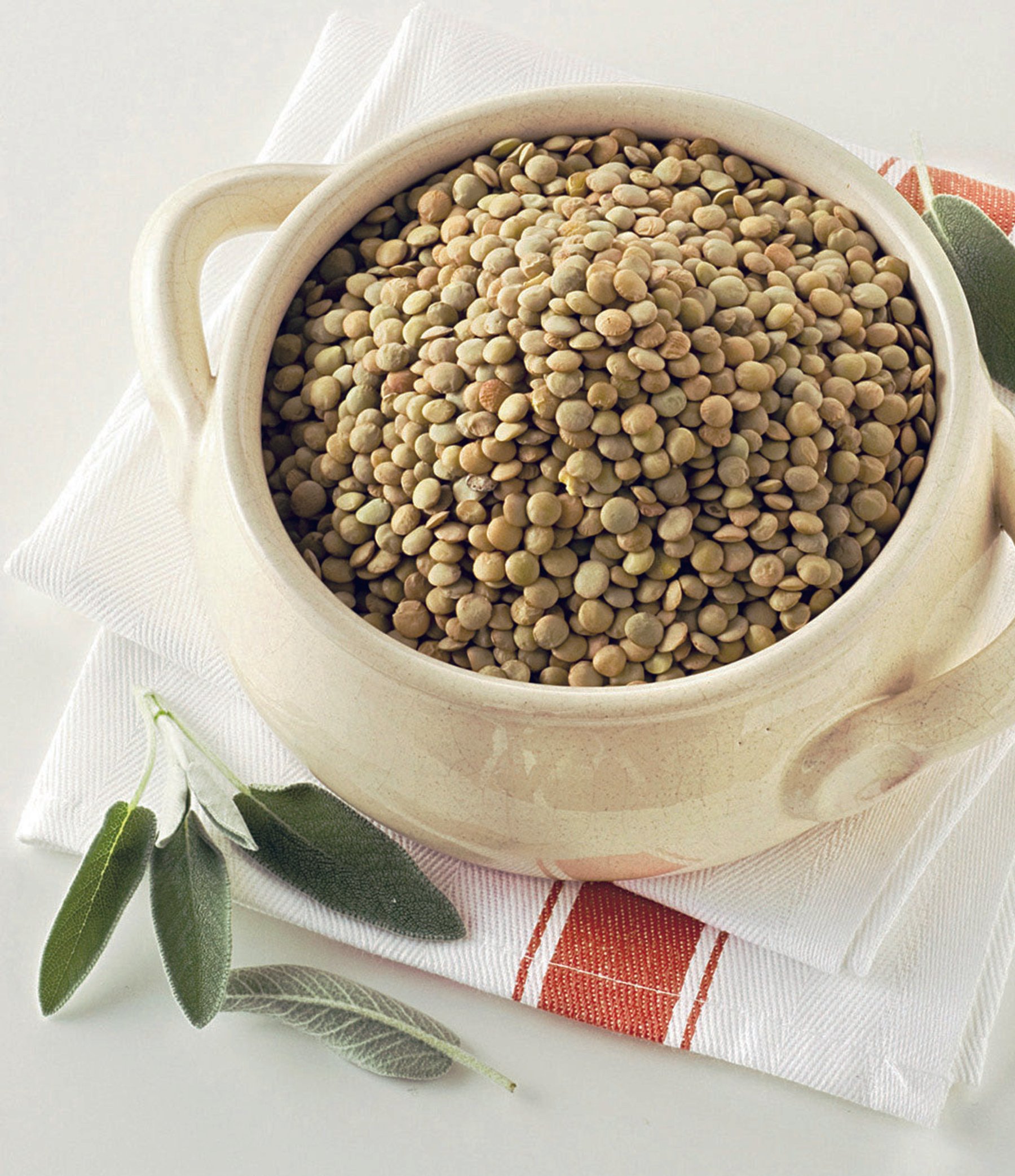 Green lentil