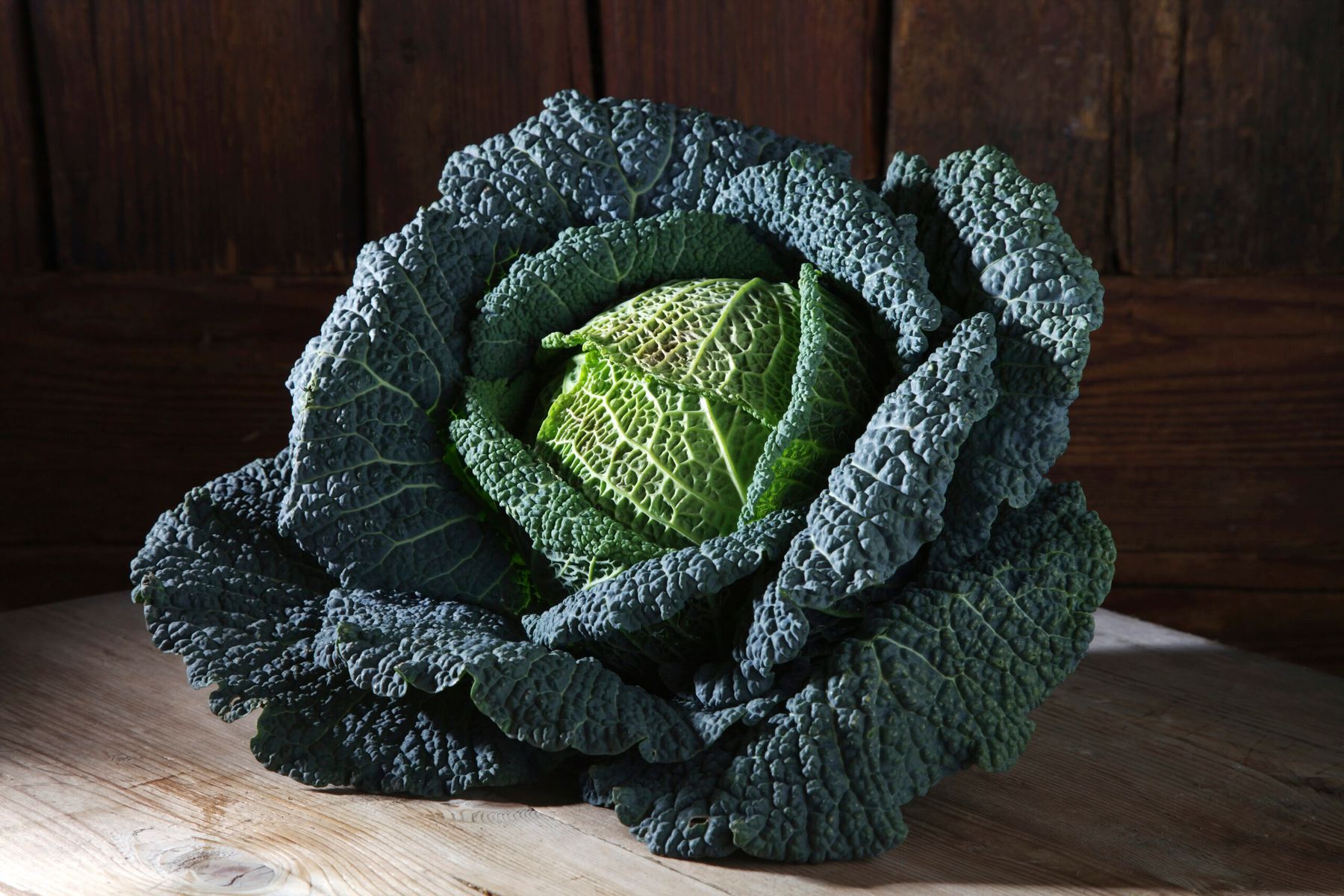 Black cabbage