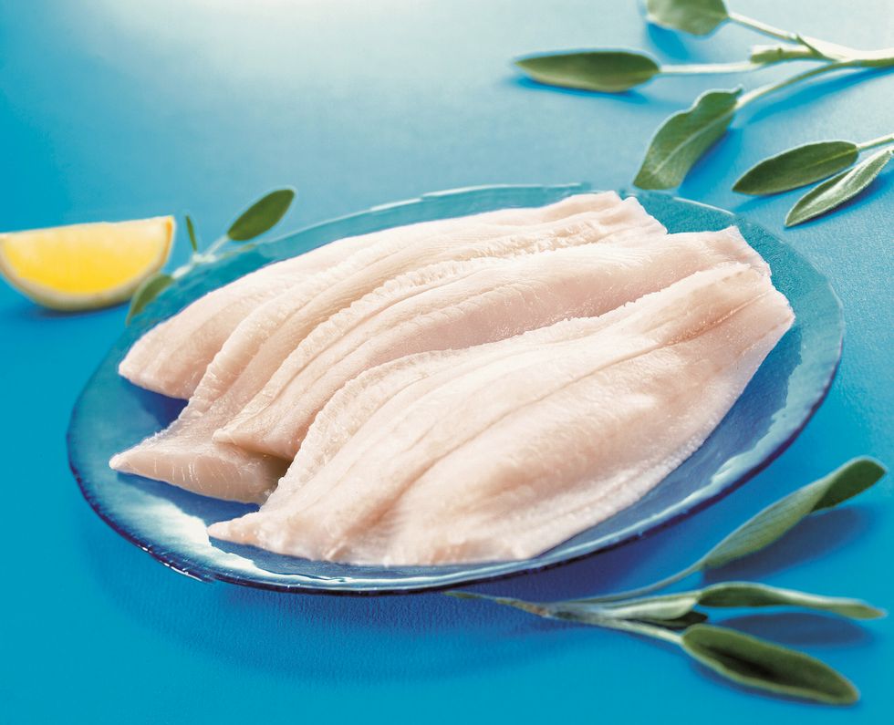 Plaice