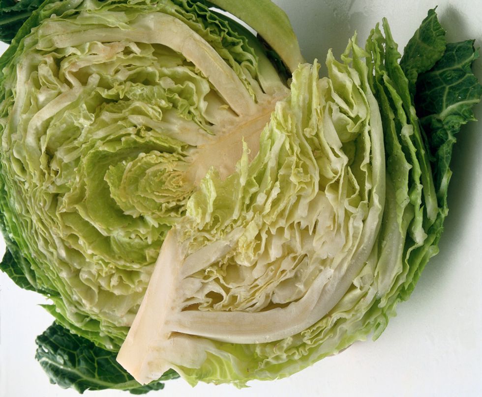 Savoy cabbage