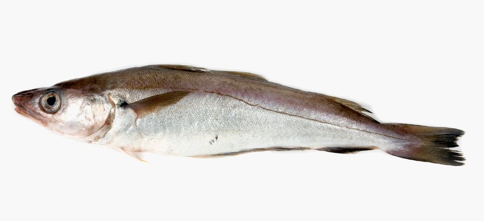 Whiting