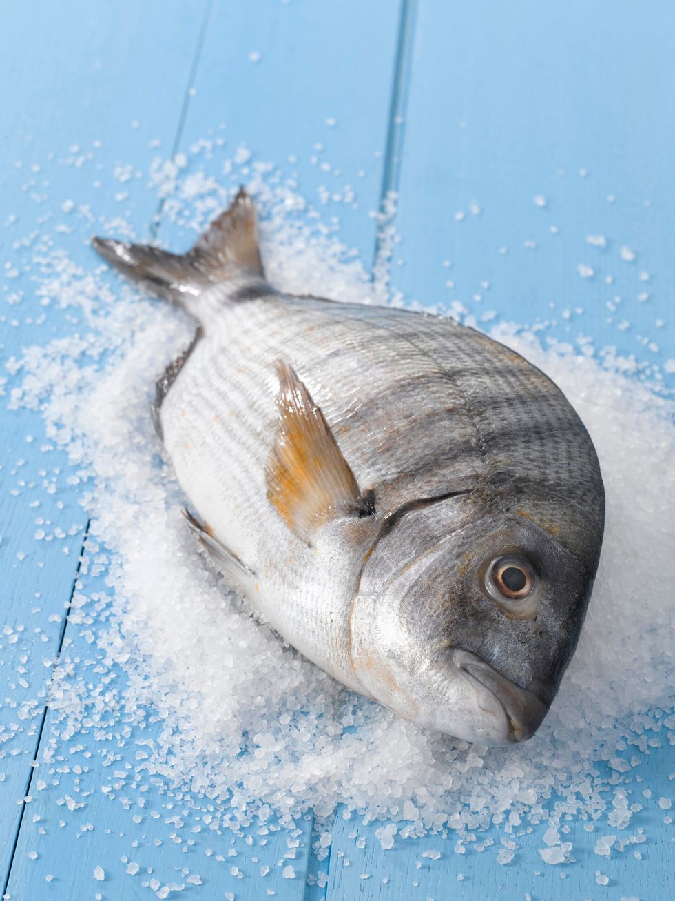 Bream
