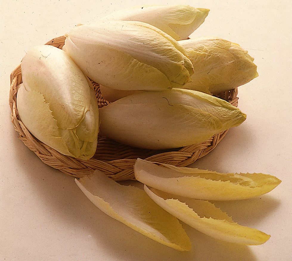 Brussels chicory