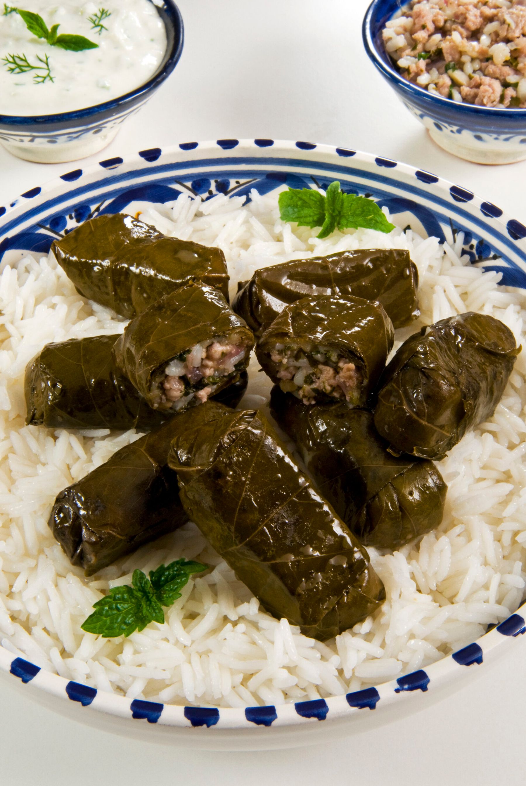 Dolma