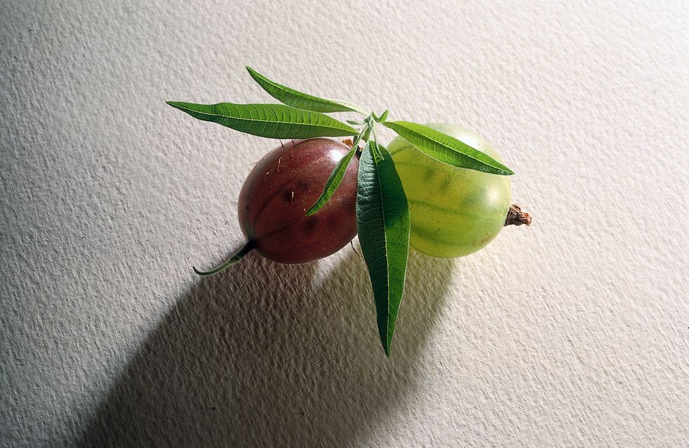 Gooseberry