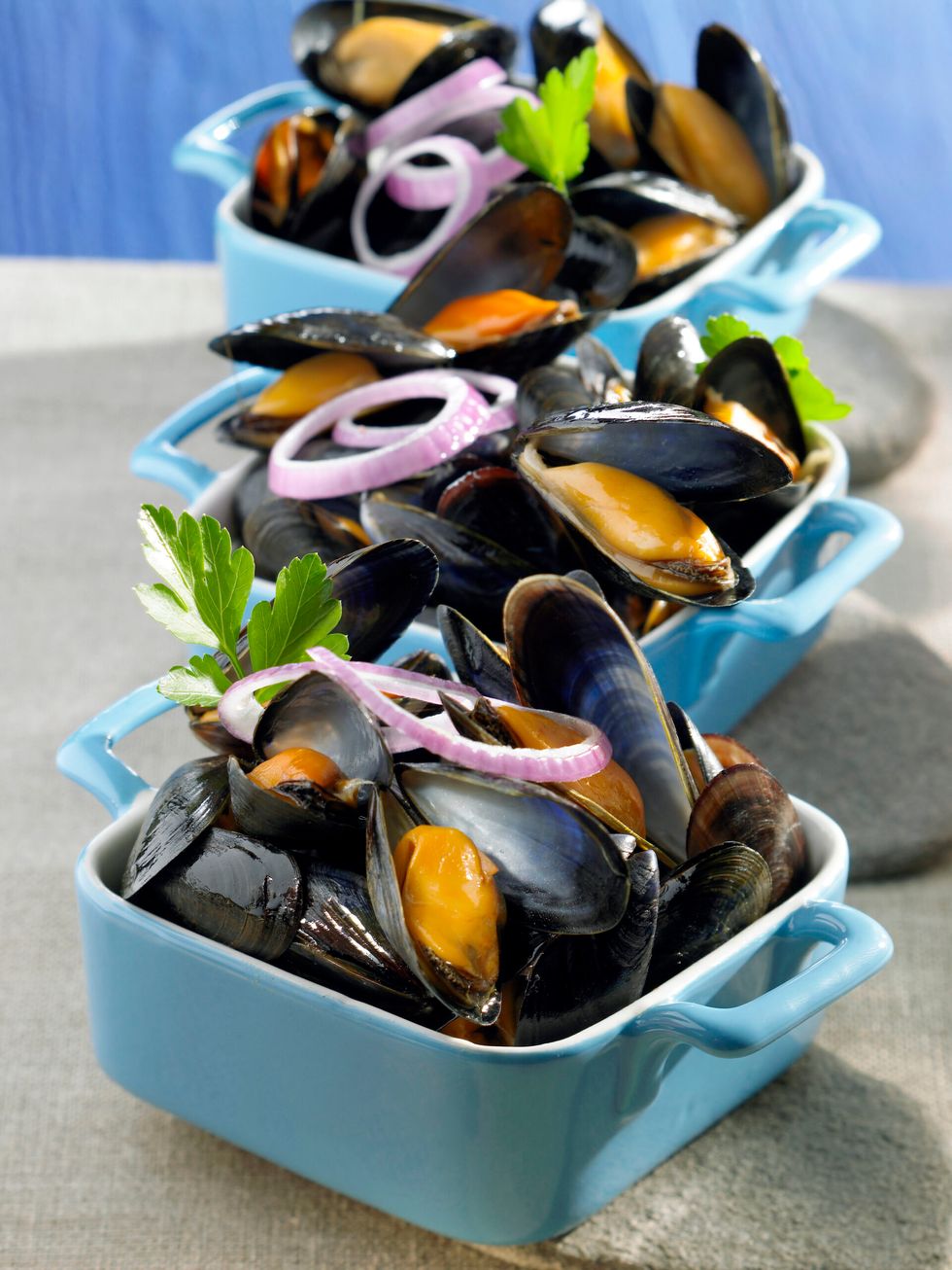 Mussel
