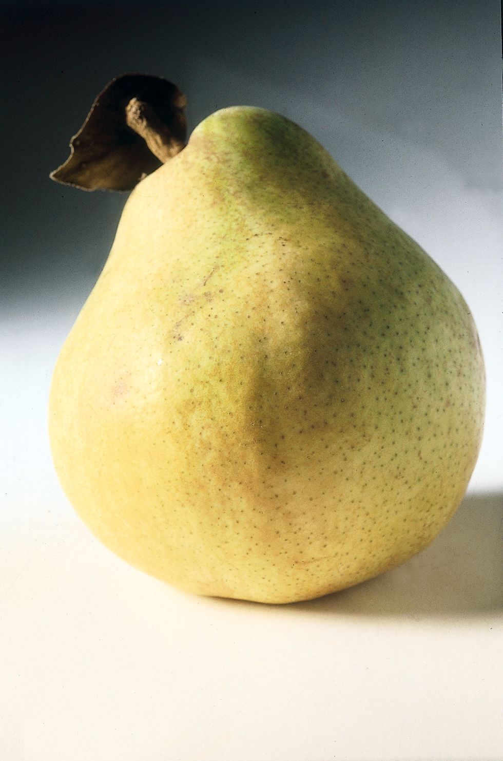 Pear decana