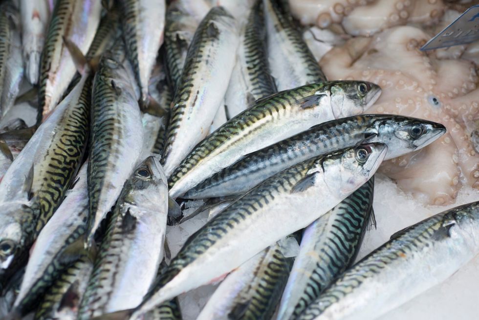 Blue fish