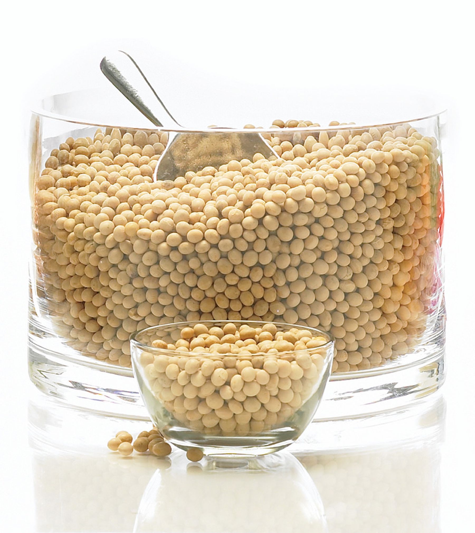 Soy, the most meat-like vegetable