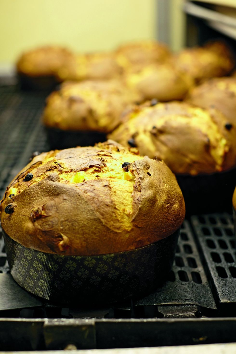 Panettone, gluten-free or vegan