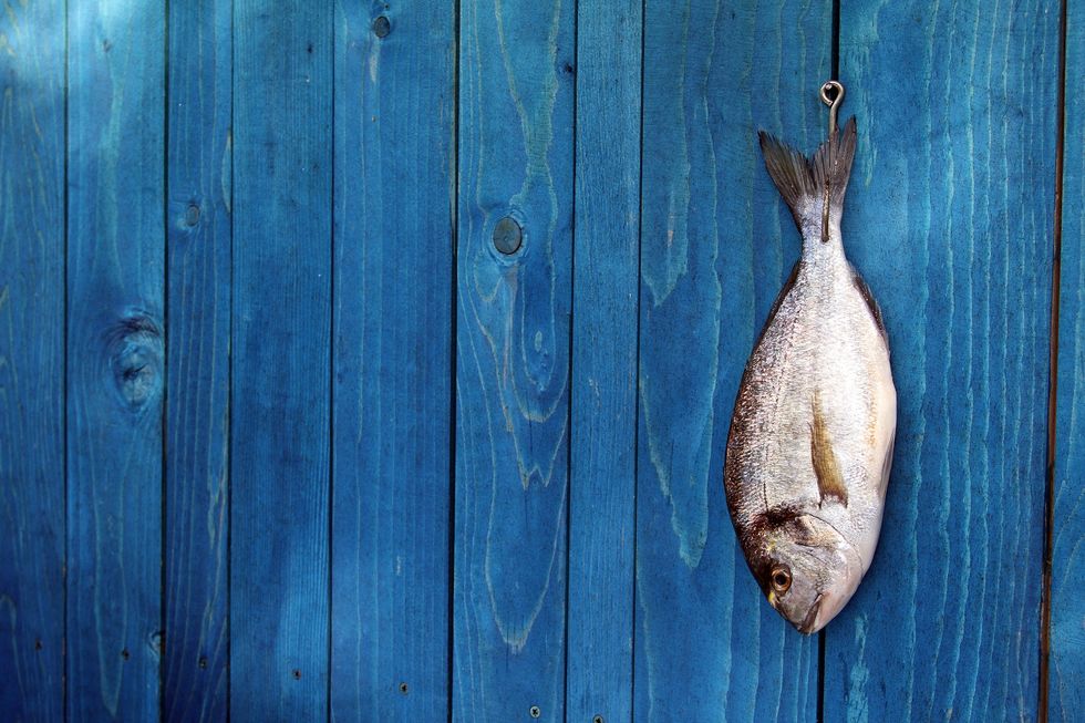 Fish: 8 myths to dispel