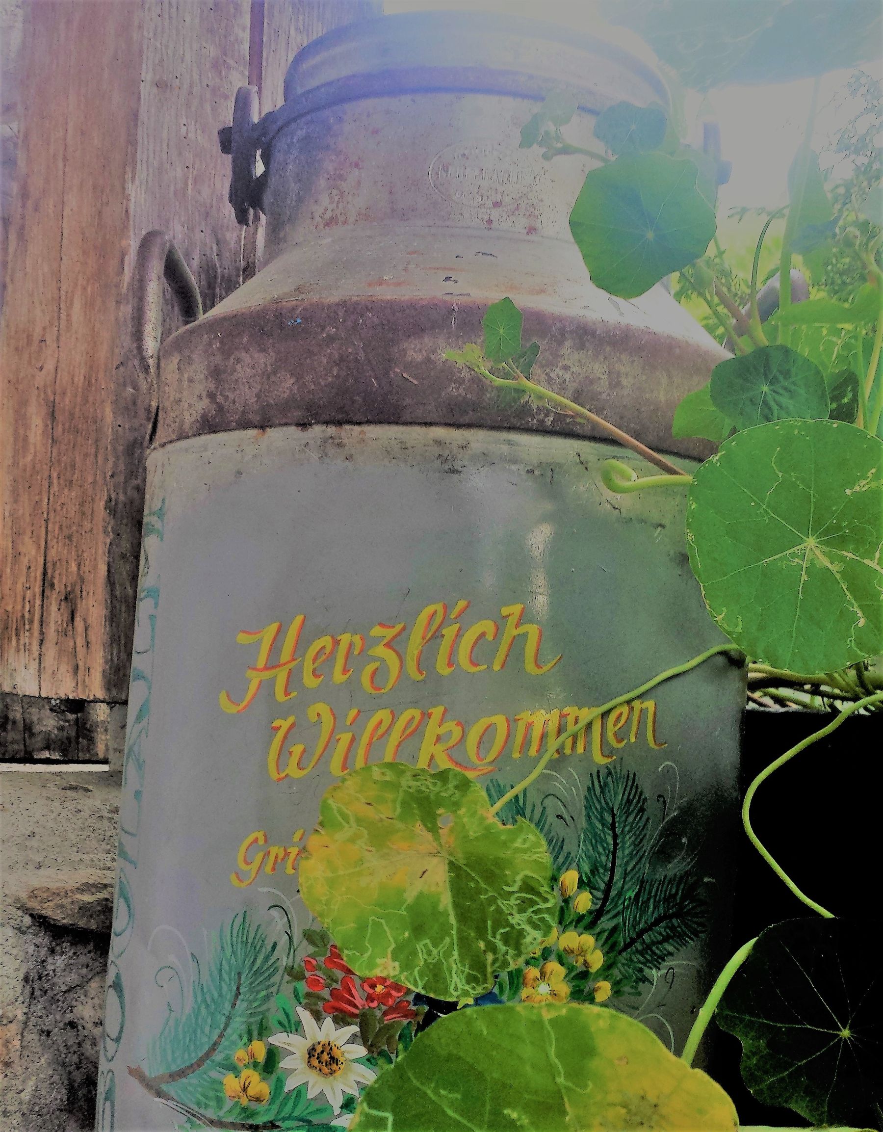 Austrian Tyrol tasty food