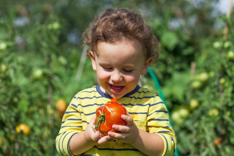 Why it is important to eat seasonal fruit and vegetables