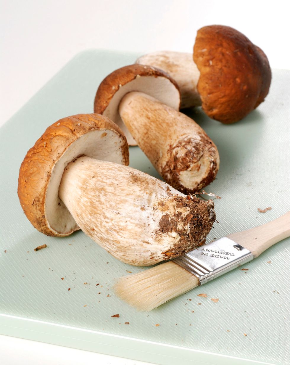 Eat mushrooms, they repair dementia