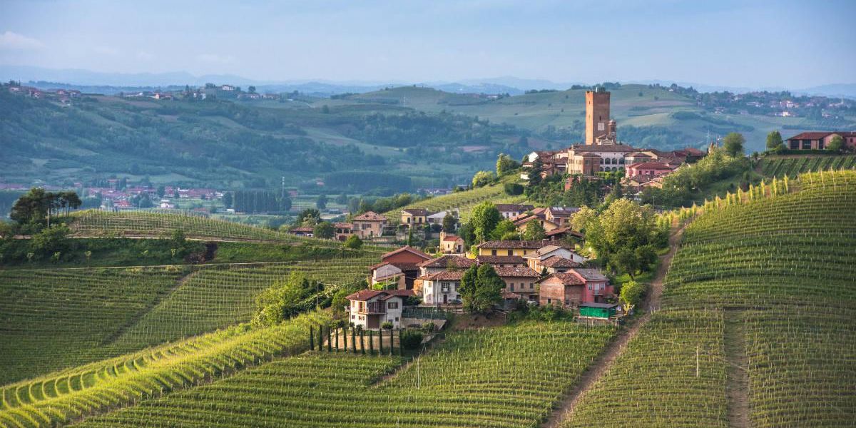 Barbaresco