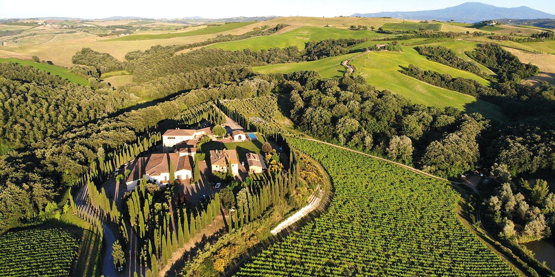 Brunello di Montalcino