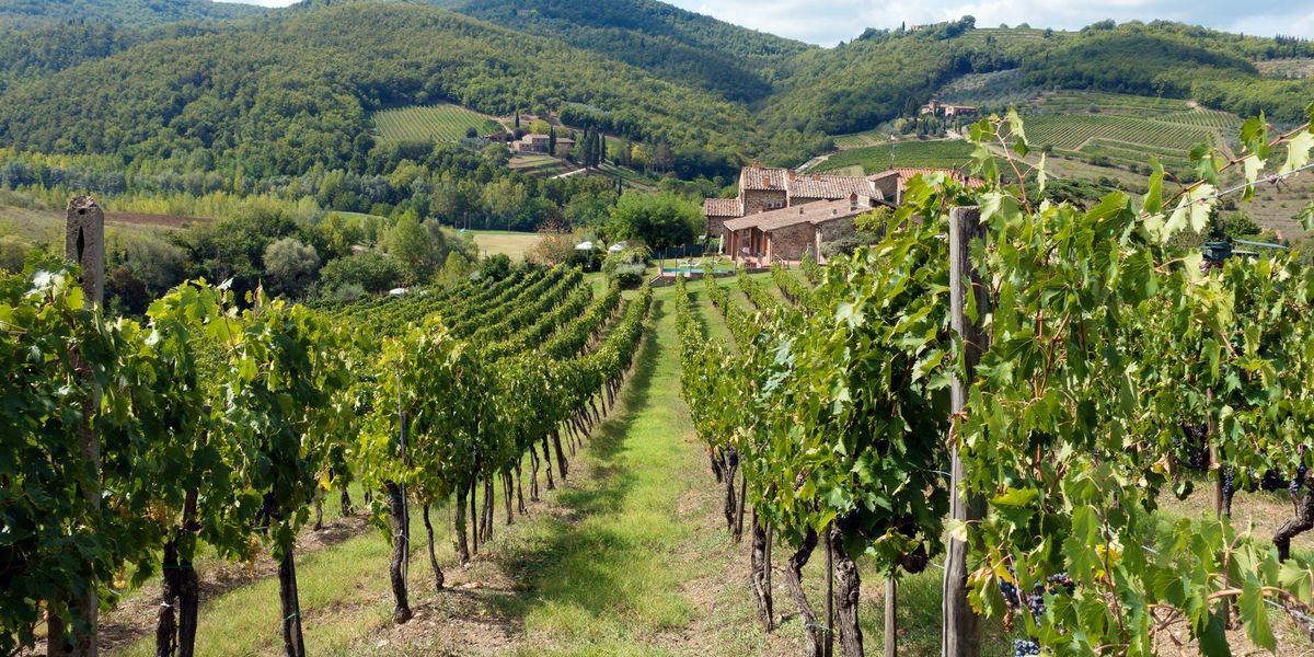 Chianti, the most famous tuscan wine
