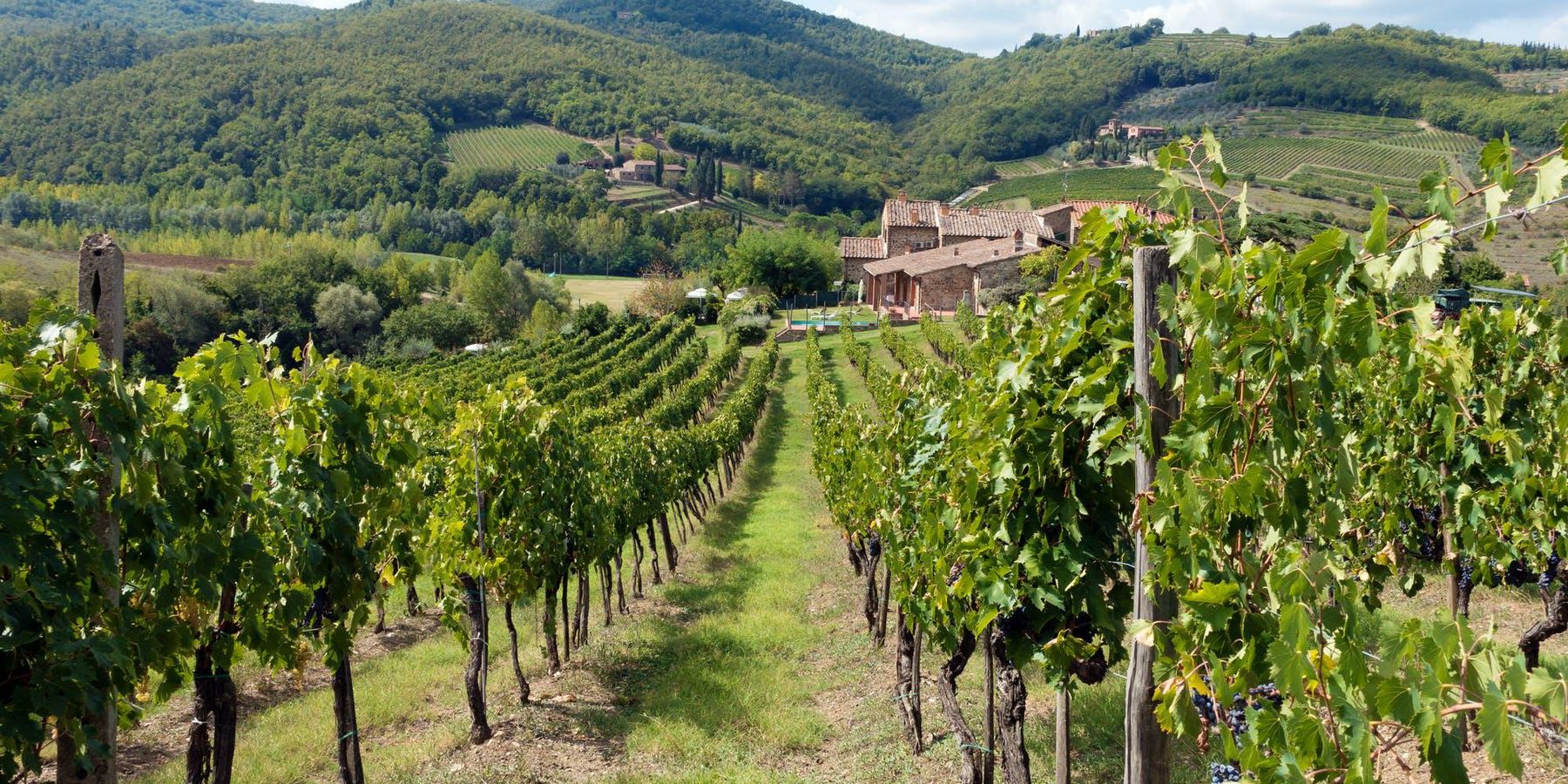 Chianti, the most famous tuscan wine