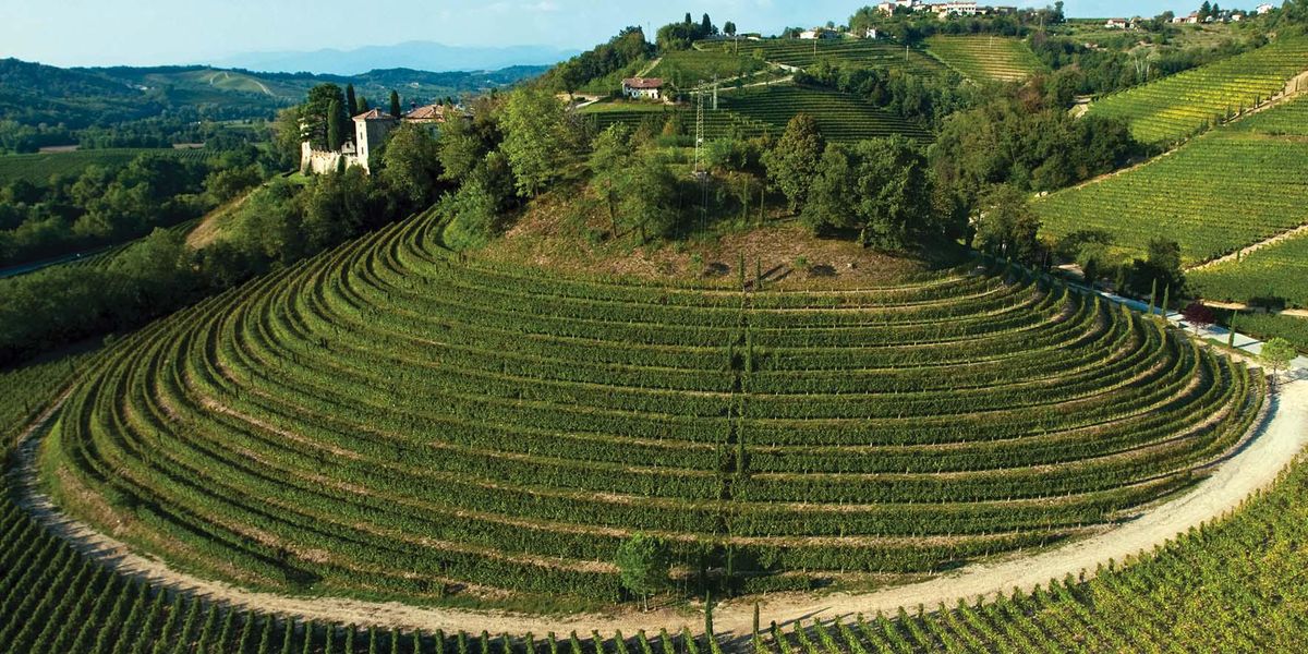 Collio, the friulian wine