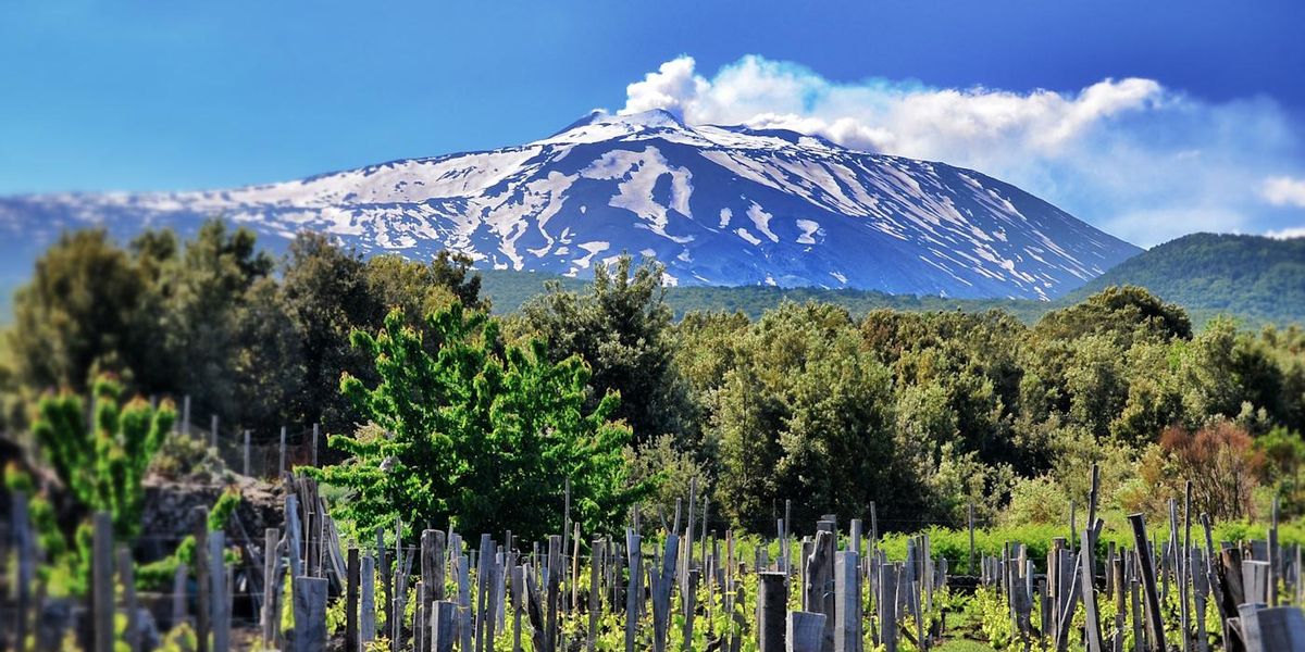 Etna Doc, the vulcanic wine