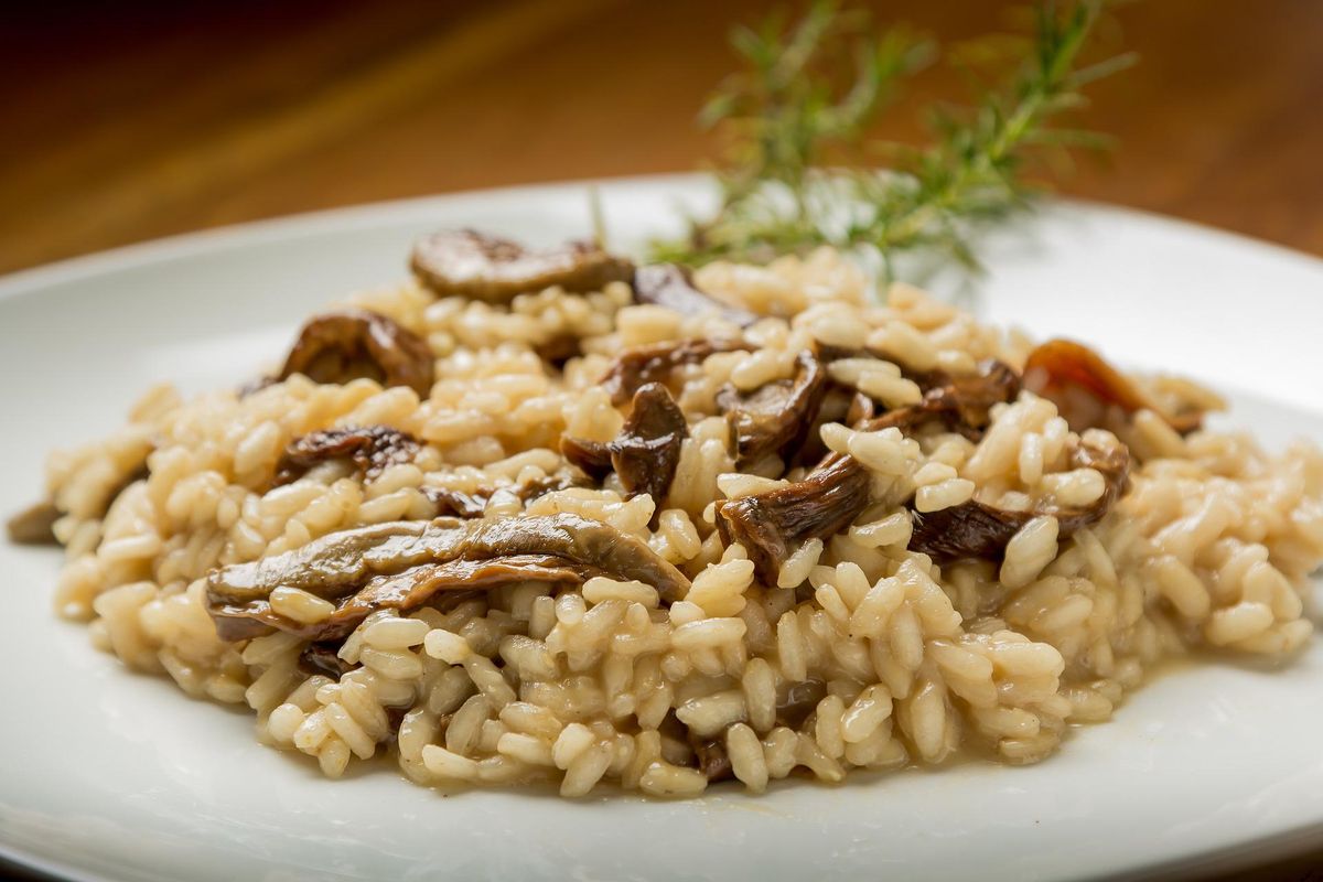 Creamy mushroom risotto