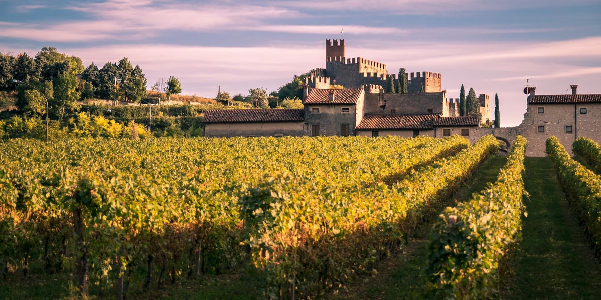 Sale&Pepe Wine Region Introduction: Veneto