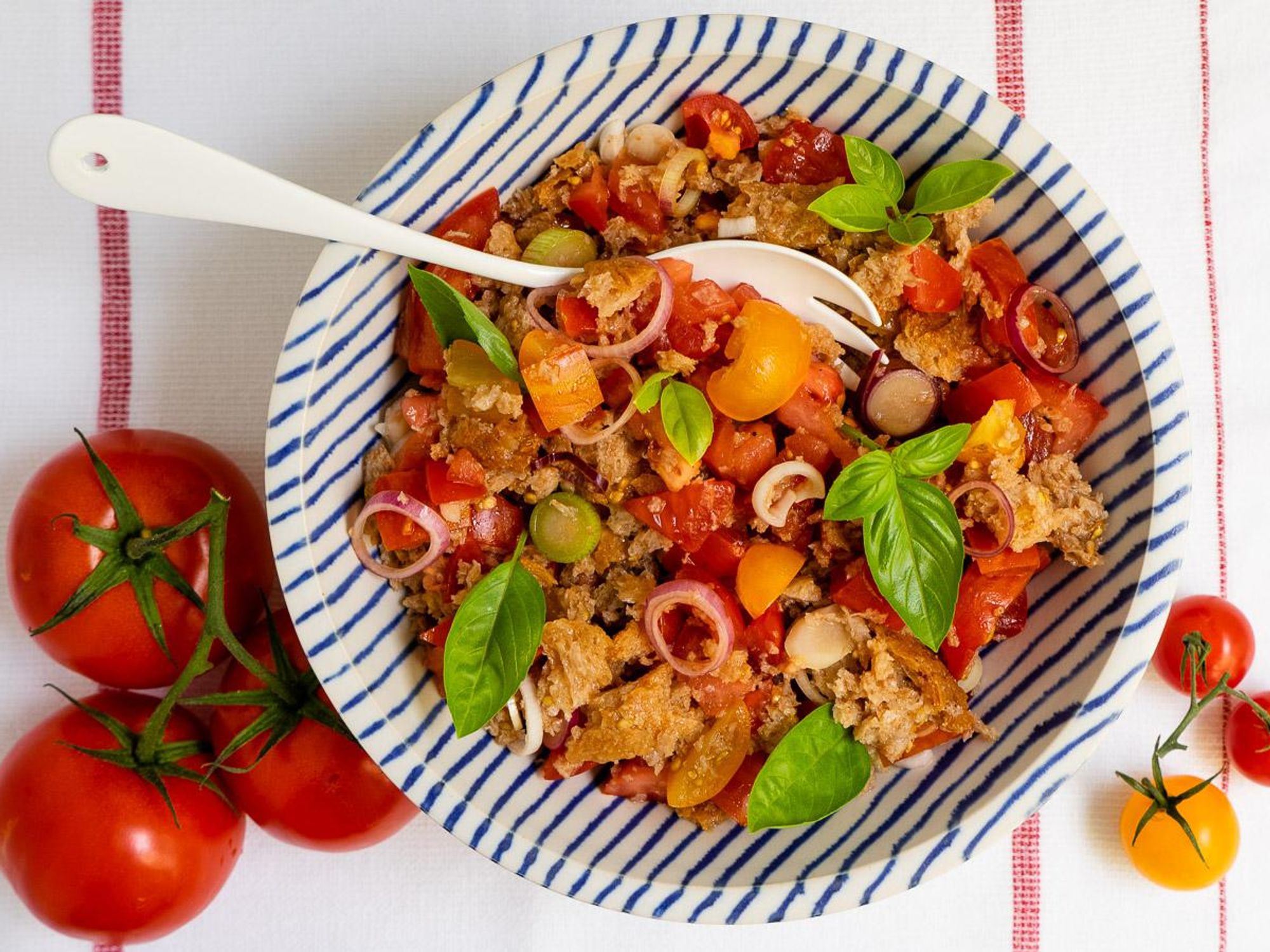 Tomato and Bread Salad