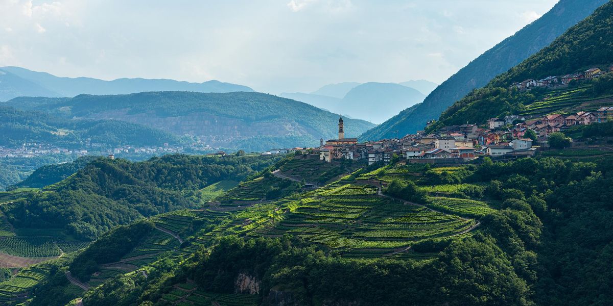 Sale&Pepe Wine Region Introduction: Trentino-Alto Adige