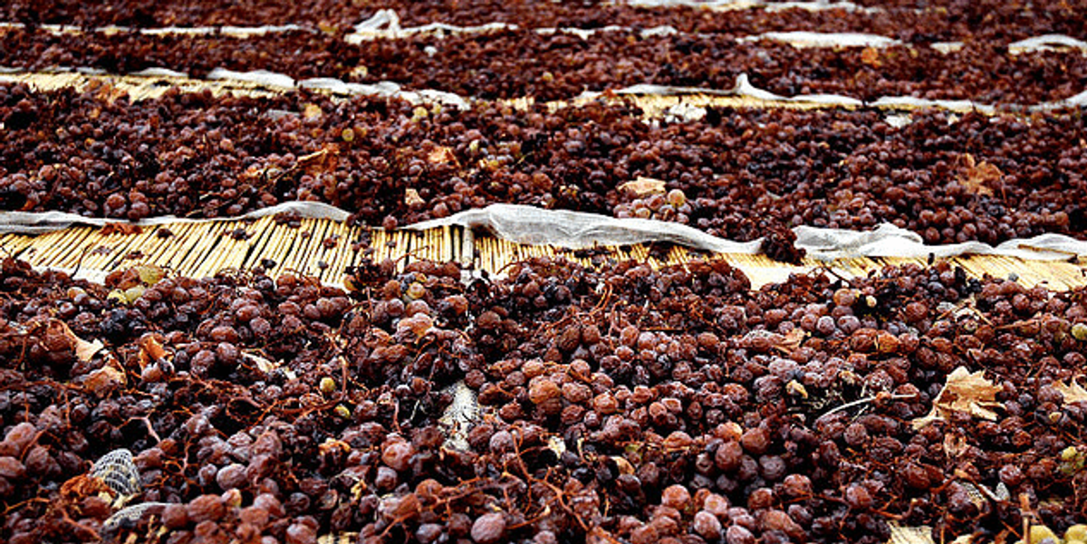 Passito di Pantelleria