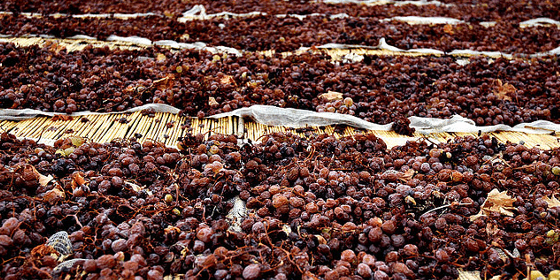 Passito di Pantelleria